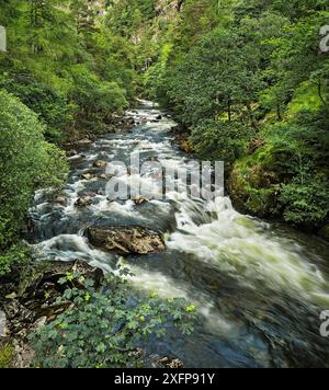 Il fiume Glaslyn scorre attraverso il passo di Aberglaslyn, guardando a nord dal ponte vicino a Nantmor, a sud di Beddgelert, Galles del Nord, Regno Unito, giugno 2017 Foto Stock