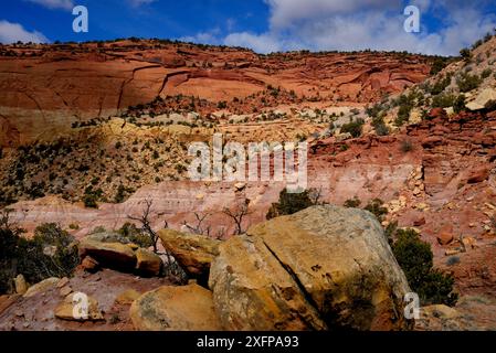 Scogliere di arenaria nel Long Canyon, Grand Staircase-Escalante National Monument, Utah, USA, marzo 2014. Foto Stock