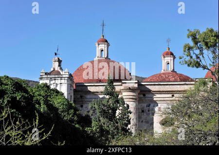 Colonne, chiesa e palazzo del complesso del palazzo di Mitla Oaxaca, Messico, America centrale, chiesa storica con cupole rosse e circondata da alberi Foto Stock