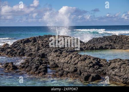 Piccole onde circondano rocce laviche con acqua in riva al mare. Costa di un'isola nell'Oceano Indiano. Alba al mattino, bella luce calda accesa Foto Stock