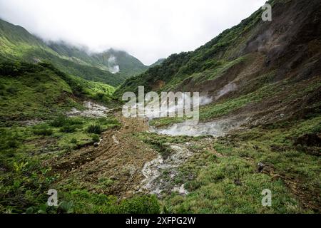 Persone che camminano con una guida nella Valle della Desolazione, passando per sorgenti di zolfo e piscine calde per raggiungere il "lago bollente", il Parco Nazionale Morne Trois Pitons, sito patrimonio dell'umanità dell'UNESCO, Dominica. Febbraio 2015. Foto Stock