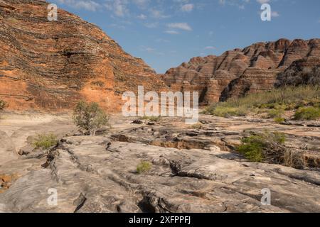 Letto secco del fiume che conduce alla straordinaria gamma di torri a cono a forma di alveare, che comprendono la catena della giungla, il Parco Nazionale di Purnululu, sito Patrimonio dell'Umanità dell'UNESCO, Kimberley, Australia Occidentale. Giugno 2016. Foto Stock