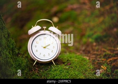 Sveglia nella foresta verde, passaggio all'ora legale in primavera, passaggio all'ora legale Foto Stock