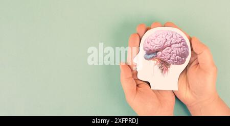 Tenere un cervello nelle mani, morbo di Parkinson, malattia di Alzheimer, disturbo mentale demenza, problemi di psicologia, adhd, trombosi venosa cerebrale Foto Stock