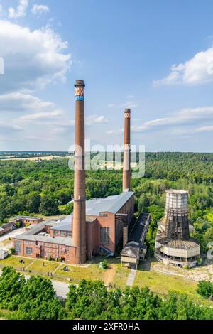 Vista aerea, foto con drone: Monumento industriale, centrale elettrica a lignite dismessa di Plessa con due camini e torri di raffreddamento, Plessa Foto Stock