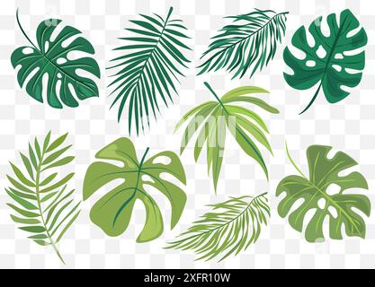 presenta otto diversi tipi di foglie verdi, ognuno con forme e motivi venosi distinti. il fogliame variegato presenta vari disegni botanici Illustrazione Vettoriale