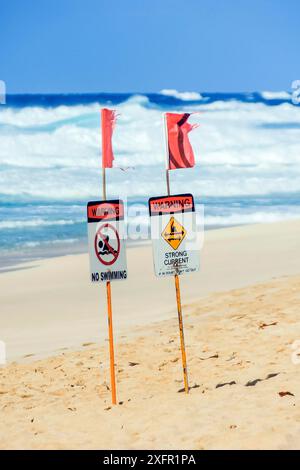 Cartelli che proibiscono il nuoto e avvisano le forti correnti sulla spiaggia sulla riva nord di Oahu, Hawaii, Stati Uniti Foto Stock