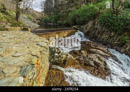 Weir in cima alla cascata di Rhaeadr Mawddach, parte del sistema di generazione di energia elettrica idroelettrica che mostra lo sbocco in basso a sinistra Afon, Mawddach, Coed y Brenin Forest, vicino al Dolgellau Snowdonia National Park, Galles del Nord, Regno Unito, aprile 2017. Foto Stock