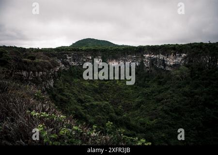 Questa accattivante immagine mostra un lussureggiante cratere vulcanico nelle Isole Galapagos, enfatizzando le scogliere spettacolari e la vibrante vegetazione. Foto Stock