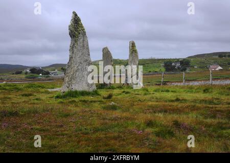 Callanish II Standing Stones sulla costa occidentale di Lewis nelle Ebridi esterne, Scozia, Regno Unito. Foto Stock