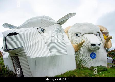 Big Dog and Sheep Shed a Tirau Town - nuova Zelanda Foto Stock