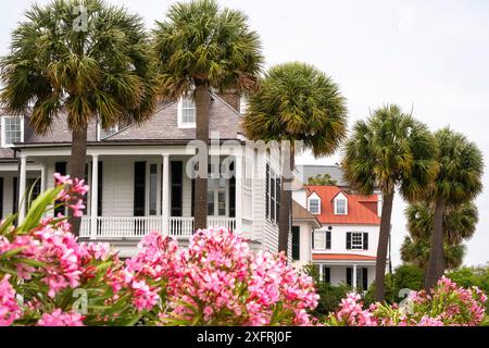 Residenze storiche lungo la Battery a Charleston, South Carolina, Stati Uniti Foto Stock