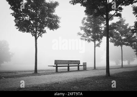 Una panchina accanto a un bidone e agli alberi in un parco nebbioso in bianco e nero alla fine dell'estate Foto Stock