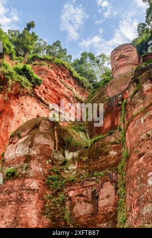 Il Buddha gigante di Leshan sullo sfondo blu del cielo. Vista dal basso nelle giornate di sole. La statua di Buddha in pietra più grande e più alta del mondo. Foto Stock