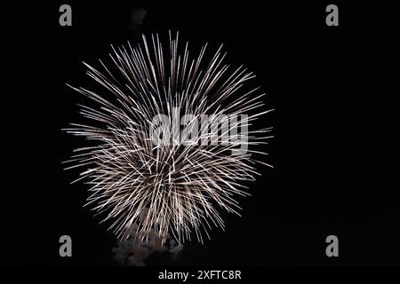 Seattle, Washington, Stati Uniti. 3 luglio 2024. I fuochi d'artificio sono partiti da una chiatta a South Lake Union il 4 luglio, a Seattle, Washington, nel 2024. (Credit Image: © Melissa Levin/ZUMA Press Wire) SOLO PER USO EDITORIALE! Non per USO commerciale! Foto Stock