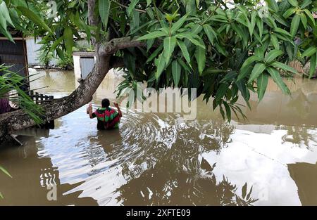 (240705) -- PECHINO, 5 luglio 2024 (Xinhua) -- questa foto fornita dalla Regional Disaster Management Agency (BPBD) Sidenreng Rappang mostra un abitante del villaggio che si tuffa nell'acqua inondata dopo le forti piogge nella Reggenza di Sidenreng Rappang, Sulawesi meridionale, Indonesia, 4 luglio 2024. (BPBD Sidenreng Rappang/handout via Xinhua) Foto Stock