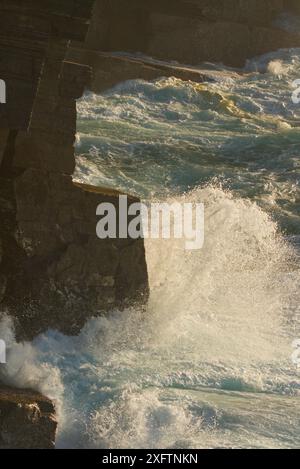 Scogliere a Birsay, Isole Orcadi Foto Stock