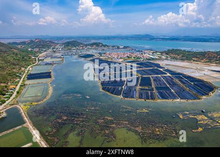 Vista aerea dei campi di sale di Hon Khoi, a Khanh Hoa, Vietnam Foto Stock