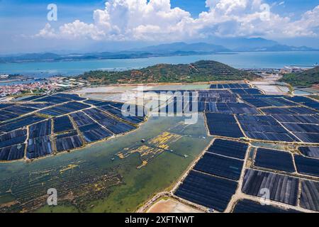 Vista aerea dei campi di sale di Hon Khoi, a Khanh Hoa, Vietnam Foto Stock