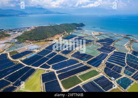 Vista aerea dei campi di sale di Hon Khoi, a Khanh Hoa, Vietnam Foto Stock