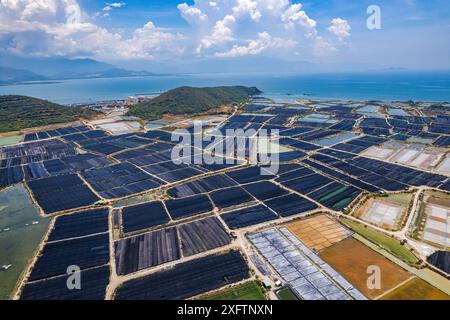 Vista aerea dei campi di sale di Hon Khoi, a Khanh Hoa, Vietnam Foto Stock