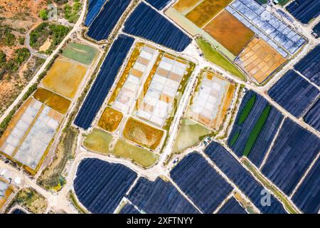 Vista aerea dei campi di sale di Hon Khoi, a Khanh Hoa, Vietnam Foto Stock