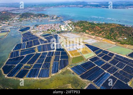 Vista aerea dei campi di sale di Hon Khoi, a Khanh Hoa, Vietnam Foto Stock