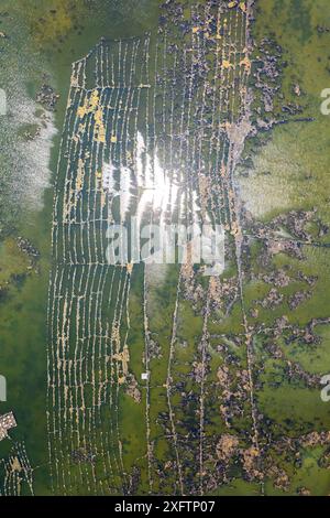 Vista aerea dei campi di sale di Hon Khoi, a Khanh Hoa, Vietnam Foto Stock