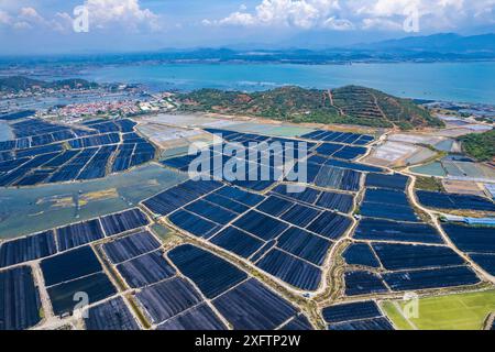 Vista aerea dei campi di sale di Hon Khoi, a Khanh Hoa, Vietnam Foto Stock