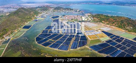 Vista aerea dei campi di sale di Hon Khoi, a Khanh Hoa, Vietnam Foto Stock