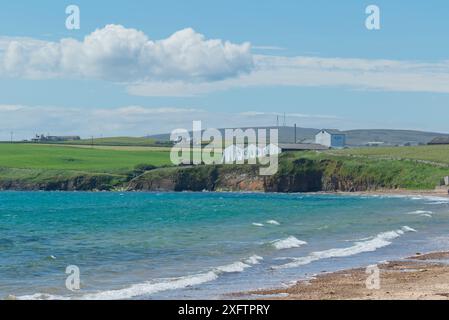 Scapa Bay e distilleria di whisky, Kirkwall, Isole Orcadi Foto Stock