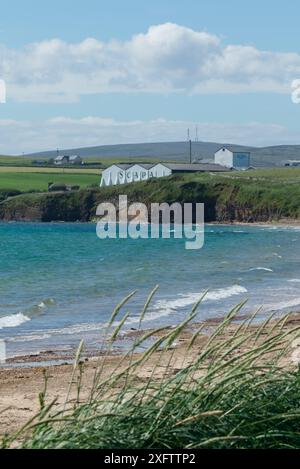 Scapa Bay e distilleria di whisky, Kirkwall, Isole Orcadi Foto Stock