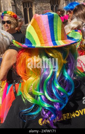 Inghilterra, Kent, Canterbury, l'annuale Canterbury Pride Parade, parrucca colorata Foto Stock