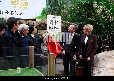 Cerimonia del nome del cucciolo di panda di 4 mesi allo zoo di Beauval / ZooParc de Beauval a St-Aignan, Francia, 4 dicembre 2017. Da sinistra a destra: Rodolphe Delord, CEO dello zoo di Beauval, ex primo ministro francese e amico della Cina, Jean-Pierre Raffarin, vice ministro degli Esteri cinese Zhang Yesui, svelando il nome, Jean-Baptiste Lemoyne, ministro junior francese degli affari esteri e Brigitte Macron, moglie del presidente francese. SOLO STAMPA EDITORIALE - NON È CONSENTITO L'USO ONLINE. Foto Stock