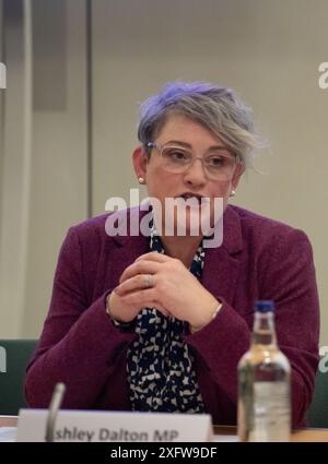 IMMAGINI DEI FILE. 5 luglio 2024. La deputata laburista Ashley Dalton ha mantenuto il suo seggio nel Lancashire occidentale dopo il giorno delle elezioni generali. Westminster, Regno Unito. 5 marzo 2024. Ashley Dalton, deputata laburista, partecipa a un evento parlamentare alla Portcullis House alla camera dei comuni di Westminster. Crediti: Maureen McLean/Alamy Foto Stock