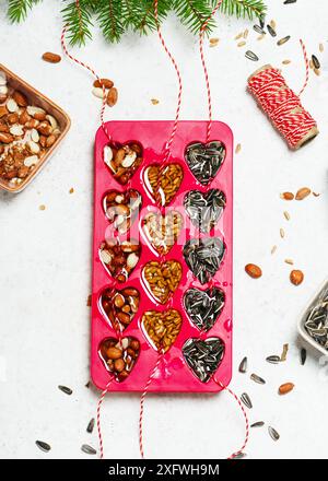 Vista dall'alto di una torta fatta in casa a forma di barretta a forma di semi di uccello, noci e grasso di cocco. Aiuta le persone agli animali. Foto Stock