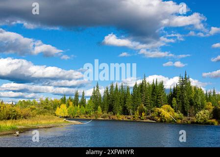 Il paesaggio di raggiunge superiore del fiume Lena, Baikalo-Lensky Riserva, Siberia, Russia, Settembre 2017 Foto Stock