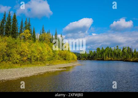 Il paesaggio di raggiunge superiore del fiume Lena, Baikalo-Lensky Riserva, Siberia, Russia, Settembre 2017 Foto Stock