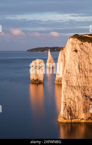 The Pinnacles, Ballard Down, Jurassic Coast, Isle of Purbeck, Dorset, Inghilterra, Regno Unito. Agosto 2017. Foto Stock