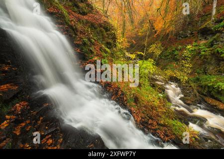 Cascate di The Birks of Aberfeldy, Perthshire, Scozia, Regno Unito. Ottobre 2014. Foto Stock