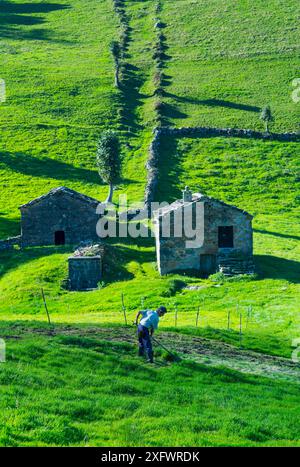 Uomo che taglia erba nei prati con edifici cabana pasiega sullo sfondo, Valle di Miera, Valles Pasiegos, Cantabria, Spagna. Ottobre 2017. Foto Stock