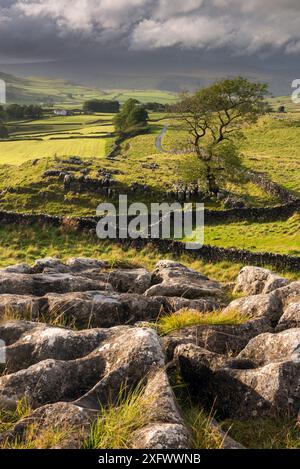 Malham Moor, con cieli tempestosi su Winskill e Ribblesdale con Pen-y-Gand avvolta nella nuvola, Yorkshire Dales National Park, Regno Unito. Settembre 2017. Foto Stock