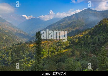 Il villaggio di montagna di Ghandruk nella valle modi Khola a circa 2000 metri, Annapurna e Machapuchare la distanza, Nepal. Novembre 2014. Foto Stock