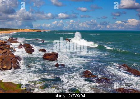 Costa al Parco Nazionale di Yala, Sri Lanka, Oceano Indiano. Foto Stock