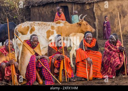 Gli anziani del villaggio Maasai con gole da bere con mucche e bambini di fronte alla capanna, villaggio Maasai, Kenya. Settembre 2006. Foto Stock