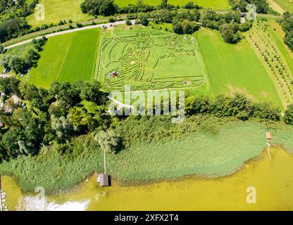 06 luglio 2024, Baviera, Utting: La vista aerea mostra un campo di piante elaborato nell'alta Baviera sul Lago di Ammersee, in cui gli agricoltori Corinne e Uli Ernst e un team di 24 hanno incorporato un labirinto in collaborazione con la Facoltà di Geoinformazione dell'Università di Scienze applicate di Monaco. Mostra la tipica nave vichinga con Wickie e suo padre Halvar per celebrare il 50 ° anniversario di Wickie. L'immagine sovradimensionata copre un'area di circa 18.000 metri quadrati ed è composta da circa 365.000 piante, tra cui girasoli, canapa, mais, malva selvatica, zucche e fagioli ornamentali. Il Foto Stock