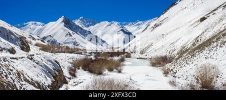 Montagne himalayane innevate, habitat del leopardo delle nevi (Panthera uncia), Parco Nazionale di Hemis, Ladakh, India. Febbraio 2014. Panorama composto digitalmente. Foto Stock
