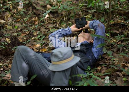 Professor Matsuzawa, primatologo, sul campo. Repubblica di Guinea dicembre 2012. Foto Stock