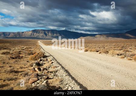 Gravel Road, Tankwa Karoo National Park, Western Cape Province Foto Stock