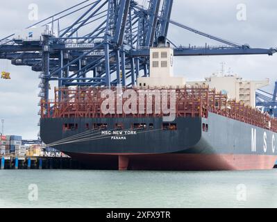 Nave container MSC New York vuota attraccata al molo Felixstowe di Suffolk, Inghilterra Foto Stock